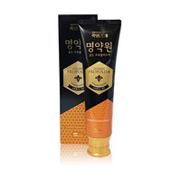 LG생활건강 죽염 명약원 골든프로폴리스 치약 플러스 120g, 1개