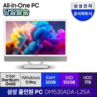 삼성전자 올인원PC DM530ADA-L25A 프로스트 화이트 윈도우11프로 일체형PC 기업용 사무용 학습용, RAM 32GB + SSD 512GB + HDD 1TB, 1512GB