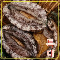 완도전복 왕특대 직거래 산지직송 산소포장 선물 세트, 1kg (특대 9-10미), 1박스