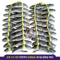 영광 법성포 굴비 [실속상품] 한정수량 20마리+20마리 / 40마리 1세트, 1.2kg+1.2kg, 1개