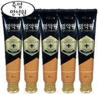 죽염 명약원 골든 프로폴리스 치약 120g, 5개