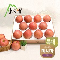 산지애 알뜰사과(특대과) 4kg, 1개