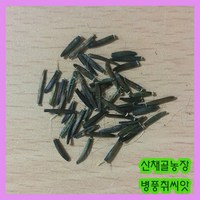 화천산약초 병풍취씨앗 10g, 10개