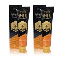 죽염 명약원 골든프로폴리스 치약 플러스 120g 2개 코스트코 대용량 화장품 선물