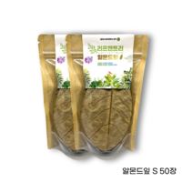 베타 알몬드잎 아몬드잎 대용량 50장, 60g, 1개