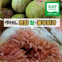 [전라남도 영암] 무화과 영암무화과 홍무화과 청무화과 GAP인증 고당도무화과, 1박스, 홍무화과 2kg(10~16과)