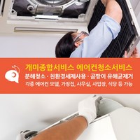 에어컨청소 분해청소 친환경세제사용 가정 사무실 사업장 식당 에어컨 청소 서비스 먼지 곰팡이 제거 1way 2way 4way 벽걸이 스탠드 2in1, 식당 및 사업장