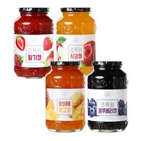 초록원 블루베리잼 +딸기잼 +사과잼 +파인애플망고잼 (4KG), 4kg, 1개