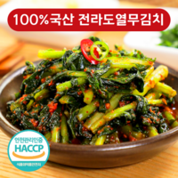 [금화찬방] 당일제조 100% 국산 전라도 열무김치, 1개, 3kg