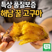 [특품] 해남 고구마 밤 호박 베니하루카 꿀고구마, 1개, 5kg(특상)