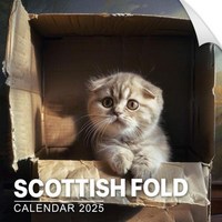 Scottish Fold Calendar 2025 365 Days of Adventure Bonus Last 3 Months 2024 Perfect for Scottish Fold