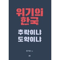 위기의 한국 추락이냐 도약이냐, 글통, 장기표