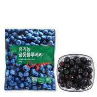 [딜라잇가든]냉동유기농블루베리_미국_500g x 5팩, 500g, 5개