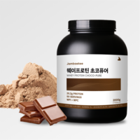 잠백이 헬스 단백질 보충제 웨이 프로틴 WPI WPC 초코 2kg, 1개