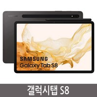 삼성전자 갤럭시탭 S8 SM-X700, 128GB, Wi-Fi