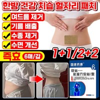 1+1/2+2 [즉효] 한방 건강 치습 혈자리 패치 바디 뱃살 복부 다이어트 패치, 1개, 6개입