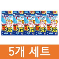 일본 성인 열시트 16매 5개세트 80매발송 해열시트 고바야시 제약, 5개, 16개입