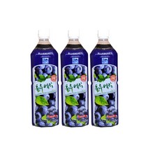 하늘샘 음료 데코로 블루베리 1020ml, 단품