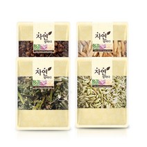 그린약초 정향 곽향 회향 맥문동 비옥향차 SET 1200g, 1개