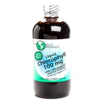월드오가닉 리퀴드 클로로필 100mg, 474ml, 1개