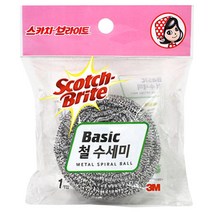 스카치브라이트 베이직 철 수세미, 1개입, 1개