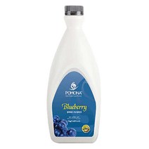 포모나 스무디 시럽 블루베리, 1개, 2kg, 1개
