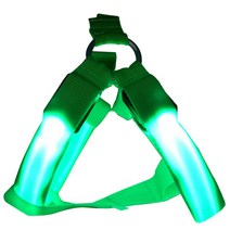 블럭마트 LED 애견 하네스 발광목줄 그린, L (43 ~ 60 cm), 1개