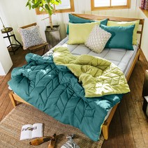 더자리 에코항균 데일리 솔리드 패턴 차렵이불