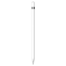 Apple 정품 애플펜슬 1세대 어댑터 미포함, 화이트, 1개