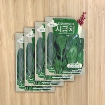 BFA 채소씨앗 시금치, 4개입