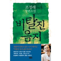 비탈진 음지, 해냄출판사, 조정래 저