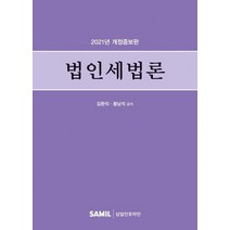 법인세법론(2021), 삼일인포마인