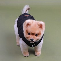쁘띠도그 강아지 패딩조끼 DWV005, 블랙