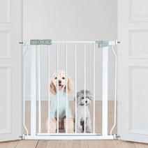 강아지안전문생활블루펜스 인기순위