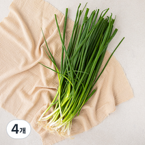 국내산 실파, 200g, 4개