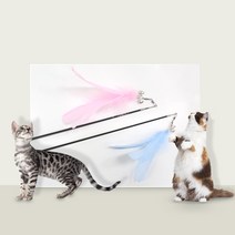 피카노리 고양이 낚시대 기본형 2종 세트 PECA3050, 핑크, 블루, 1개