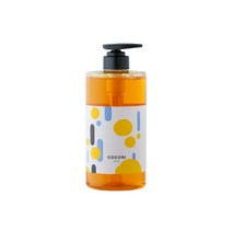 코코리제주 감귤 가득 1종 주방세제 750ml + 펌프 세트, 1세트