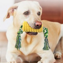 딩동펫 강아지 파인애플 실타래 칫솔 4.4 x 2.2 cm, 옐로우, 1개