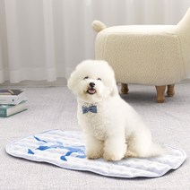 피카노리 로이 애견 쿨매트, 라이트 블루
