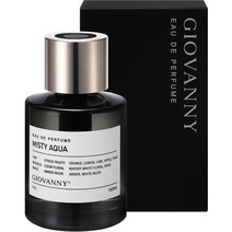 지오바니 프리미엄 차량용 디퓨저 160ml, 미스티아쿠아, 1개