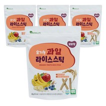 또또맘 유기농 라이스스틱 20g, 과일, 4개