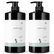 살림백서 오푼티아&밤부 샴푸 유칼립투스향, 1000ml, 2개