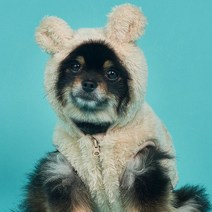 도그아이 반려동물 곰 후드 베스트, 베이지