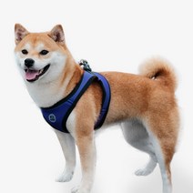 리얼펫 4계절슬림 조끼하네스, ROYAL BLUE