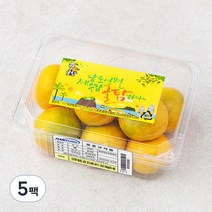 귤탐 당도선별 하우스감귤, 500g(2S-M), 5팩