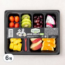 All바른농장 새콤달콤 과일도시락 One, 6개, 500g