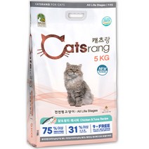 고양이건식사료 추천 순위 TOP 20 구매가이드