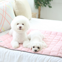 이츠독 인견 쿨링 매트, 인디핑크