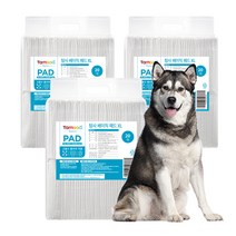 탐사 베이직 배변패드, 3개, 20매