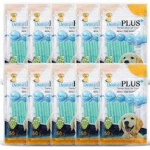 덴탈플러스 국산 덴탈 개껌 50g, 청포도맛, 10개